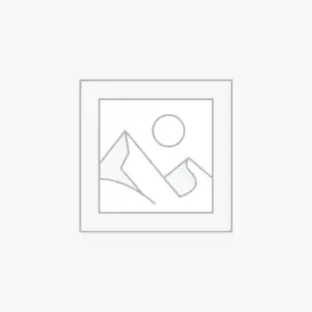 Frozen Arctic Services